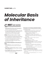 6. Molecular Basis Of Inheritance (1).pdf